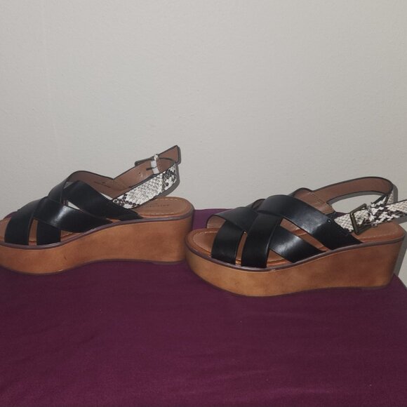 American Eagle - Picture 5 of 8